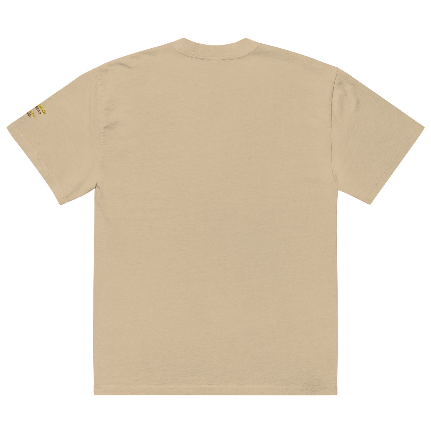 NoLoGo Apparel embroidered oversized faded t-shirt